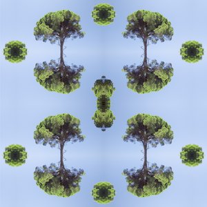 Unnatural 118 (digitally manipulated photo)