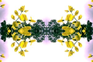 非自然151.2（数字处理过的照片）。
