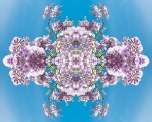 Unnatural 180 (digitally manipulated photo)