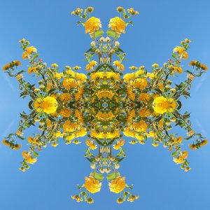 非自然193（数字处理过的照片