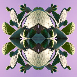 Unnatural 196 (digitally manipulated photo) 作者 乔凡尼·卡法尼亚（Giovanni Cafagna）
