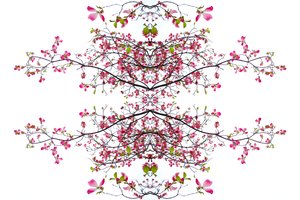 非自然200（数字处理过的照片
