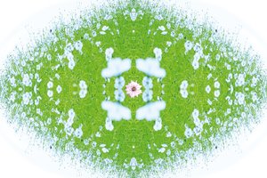 不自然的37（数码处理的照片） 作者 乔凡尼·卡法尼亚（Giovanni Cafagna）