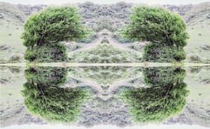 不自然40（数码处理的照片）