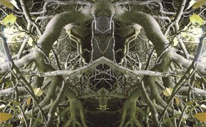 不自然41（数码处理的照片）
