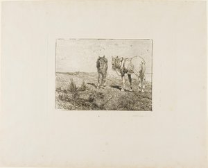 马匹休息 作者 乔凡尼·法托里（Giovanni Fattori）
