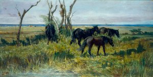 马雷玛牧场。放牧的马》，约 1872 年（布面油画） 作者 乔凡尼·法托里（Giovanni Fattori）