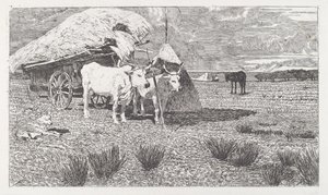 拴在车上的牛 (马雷马) 作者 乔凡尼·法托里（Giovanni Fattori）