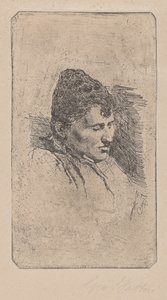 艺术家的第二任妻子的画像 作者 乔凡尼·法托里（Giovanni Fattori）