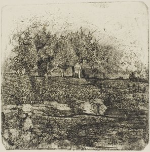 草地上的树木 作者 乔凡尼·法托里（Giovanni Fattori）