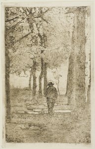 有图有真相的林中漫步 作者 乔凡尼·法托里（Giovanni Fattori）