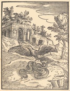 鸟和蛇，1570年。 作者 乔瓦尼·玛丽亚·威尔迪佐蒂