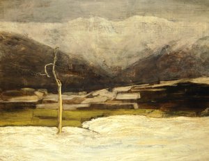 萨沃尼诺景观 作者 乔凡尼·塞甘蒂尼（Giovanni Segantini）