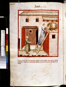 乌布恰西姆-德-巴尔达奇的疗养手册："Acetum"，14 世纪第一个十年（微缩图）