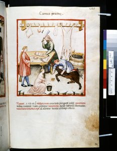 乌布恰西姆-德-巴尔达赫的疗养院："Carnes Porcinae"，14 世纪第一个十年（微缩图）