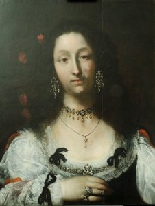 夫人油的画象在盘区的