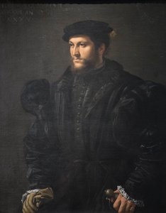 Portrait of a gentleman in black