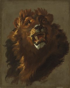 狮子 作者 朱塞佩·巴尔德里希（Giuseppe Baldrighi）