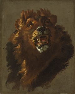 狮子，1750年代。 作者 朱塞佩·巴尔德里希（Giuseppe Baldrighi）