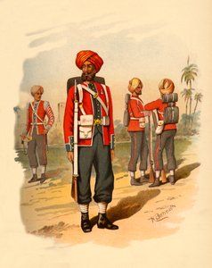 1890年第15锡克教徒。 作者 戈弗雷·道格拉斯·吉尔斯