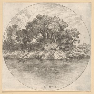 Water.nd与树木景观