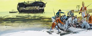 植物湾 作者 格雷厄姆·科顿