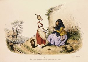 猫头鹰给驴子算命》，来自《每日变形记》系列的漫画，1854年再版（彩色版画）。 作者 格兰维尔