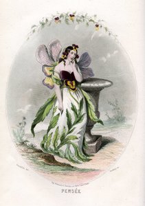 动画花朵》插图