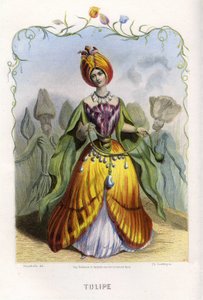 动画花朵》插图 作者 格兰维尔 (1803 47)