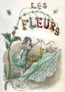 Les Fleurs animees》一书的封面插图，由格兰德维尔绘制，彩色雕版印刷。戈奈 1857 年版