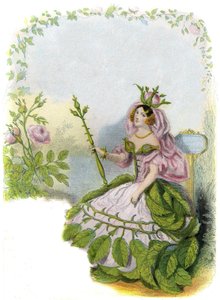 动画花朵》插图 作者 格兰维尔 (1803 47)