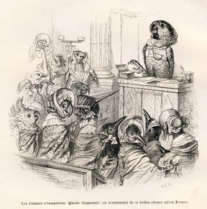 能言善辩的鹦鹉。由JJ-格兰维尔绘制的小插图。由Honore De Balzac在 "Scenes de la vie privee et publique des animaux "中撰写的题为 "Guide-ane a l