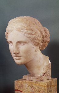 Kauffmann头，阿芙罗狄蒂的头，由Praxiteles（公元前375-40）在公元前150年（大理石）的Cnidus阿芙罗狄蒂的复制品