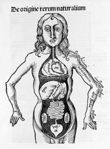 人体部分 - Gregor Reisch（1467-1525）的“”Margarita Philosophica”，Bale 1517。