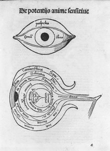研究人的眼睛。 Gregor Reisch（1467-1525）的“Margarita Philosophica”中的解剖板，Bale 1517。