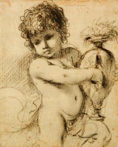 带花瓶的Putto 作者 格尔奇诺