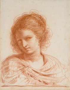 年轻女子的头像，1550-1666年 作者 格尔奇诺