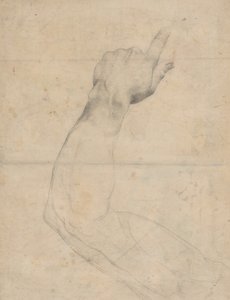 手臂的研究[背面] 作者 纪尧姆·莱瑟尔（Guillaume Lethiere）
