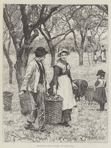 农业场景，十一月，Apple Harvest