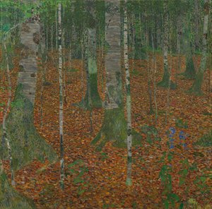 桦木森林，1903年。 作者 Gustav Klimt