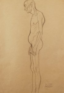裸体男人赤裸的男人， 作者 古斯塔夫·克里姆特