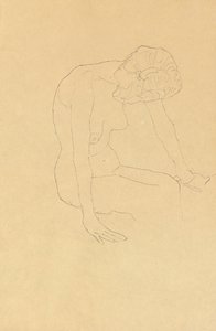 研究女性裸体，c.1908-1909 作者 古斯塔夫·克里姆特