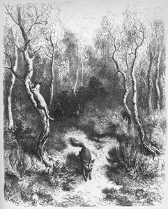 le chat et le fox - The Fox and the Cat - from 