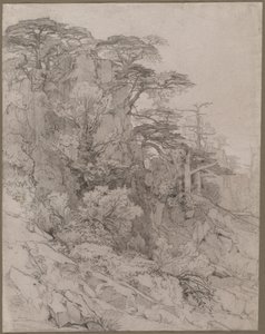 岩石山坡上的树木 作者 古斯塔夫·阿奇勒·纪尧姆