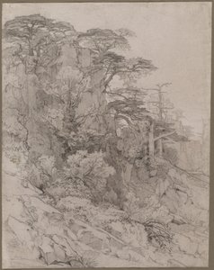 19世纪末，岩石山坡上的树木。 作者 古斯塔夫·阿奇勒·纪尧姆
