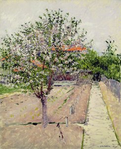 开花的苹果树，c.1885 作者 古斯塔夫·卡耶博特