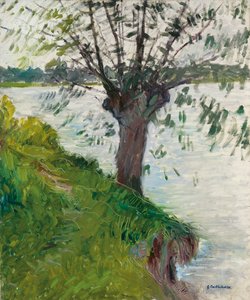 在河边的柳树； Saule au bord de la riviere，角1891年 作者 古斯塔夫·卡耶博特