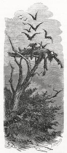 凯尔特天空葬礼，1866年 作者 古斯塔夫·多尔（Gustave Dore）