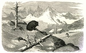古斯塔夫-多尔为 1860 年出版的《希波吕特-泰恩的比利牛斯之旅》一书绘制的插图。熊看着一个人走向他在山上的房子。 作者 古斯塔夫·多尔（Gustave Dore）