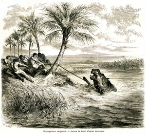 在恩加米河的支流 Teoghe 河上狩猎。河马鱼叉。古斯塔夫-多尔（Gustave Dore）为 "查尔斯-让-安德森（Charles-Jean Anderson）在奥地利非洲的探险和狩猎 "绘制的版画，发表在新期刊《世界之旅》（Le tour du monde）上。 作者 古斯塔夫·多尔（Gustave Dore）